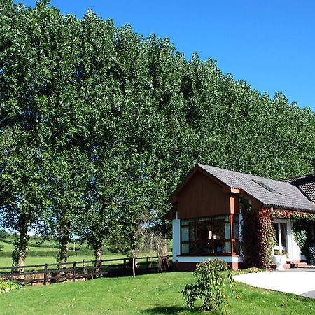 The Bungalow Farmhouse Clomantagh Exterior foto