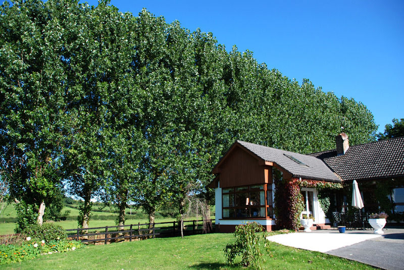 The Bungalow Farmhouse Clomantagh Exterior foto
